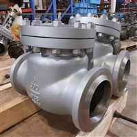 铸钢美标止回阀