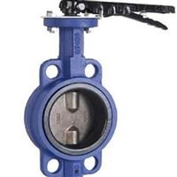 D71XP对夹无销脱硫蝶阀